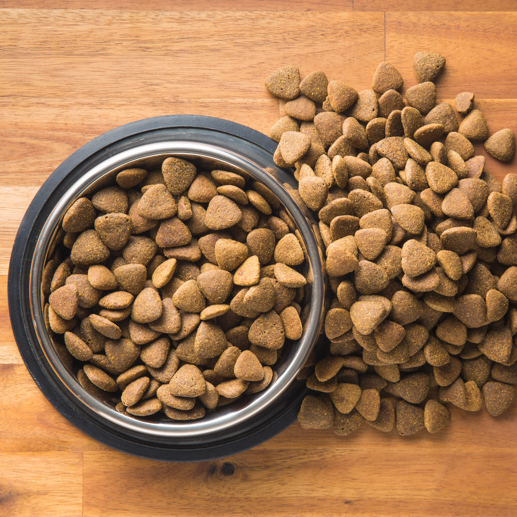 How To Tell When Your Dog Needs Hypoallergenic Food