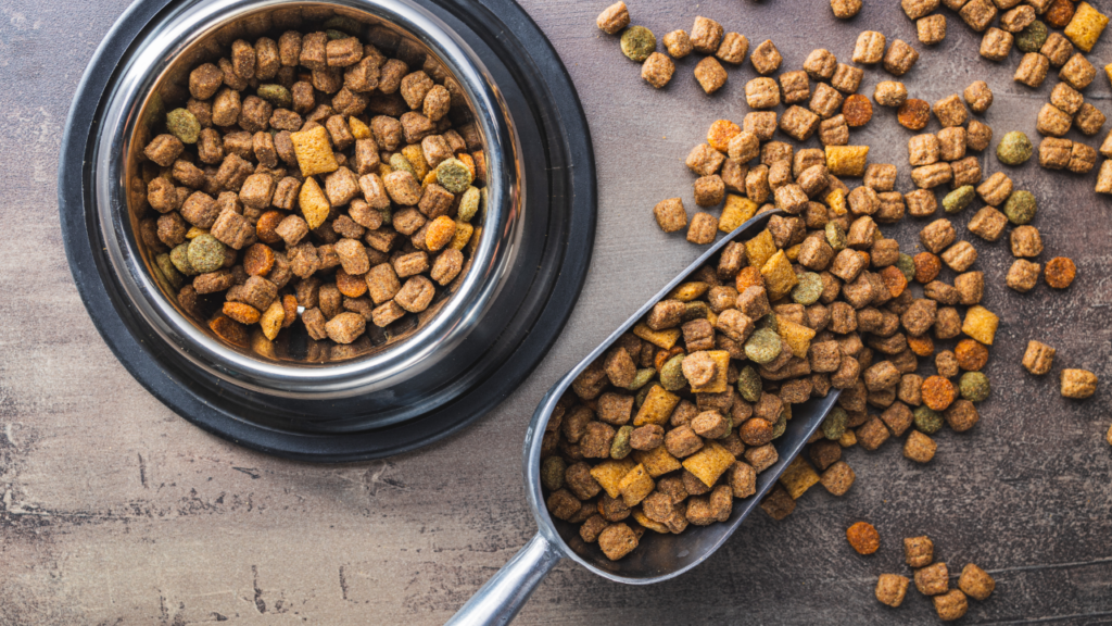 Best Dry Dog Food For Large Dogs